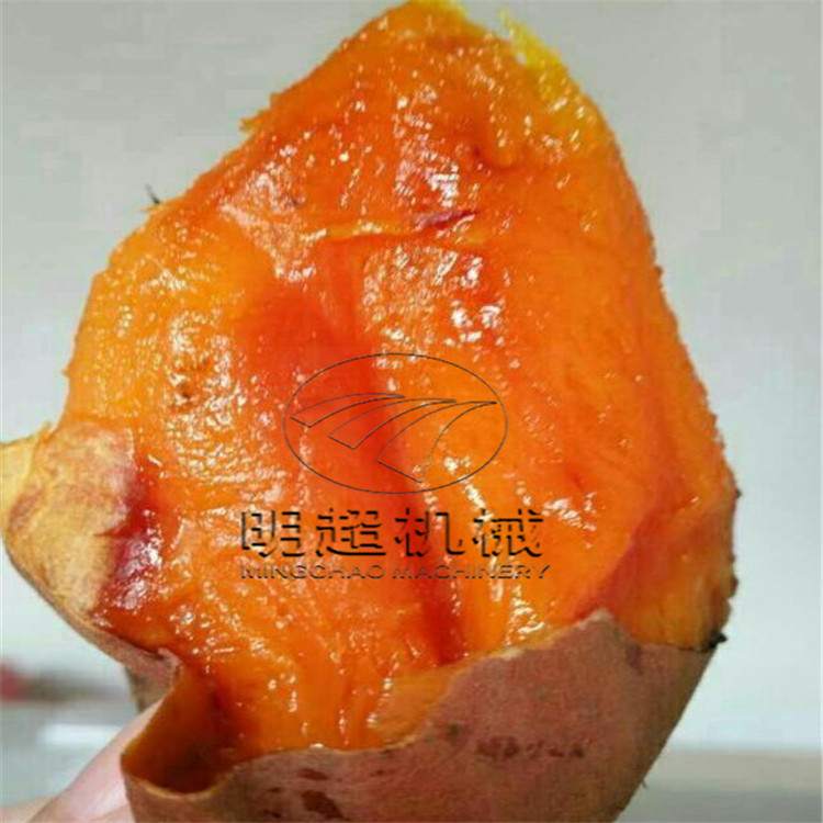 濾豸 (1).jpg